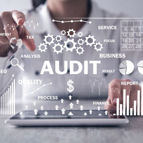 SEO Audit & Reporting